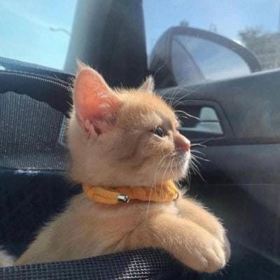 Lesti Kejora avatar